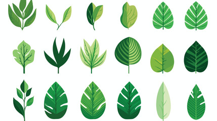 Leaf plant natural sheet vector design flat vector