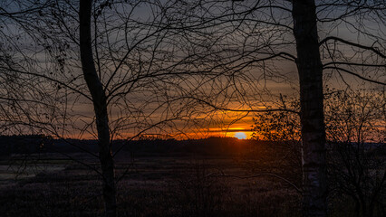 Autumn sunset seen through trees in Podlasie.