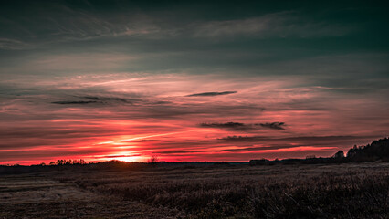 Autumn sunset seen through trees in Podlasie.