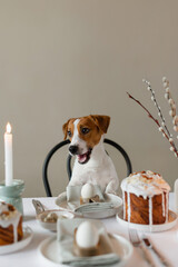 Happy Easter! Cute Jack Russell Terrier dog sitting at served Easter table indoors. Easter table...