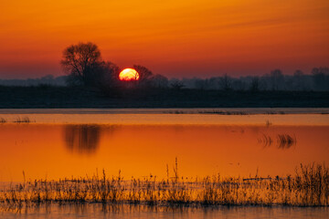 sunrise over the river
