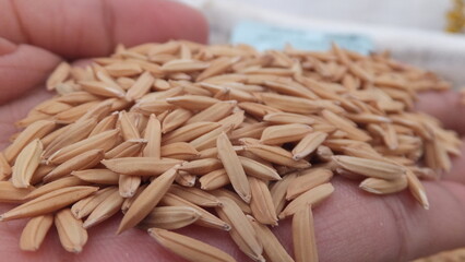 Close-up of dry, white rice grains in a wooden bowl, a common food ingredient