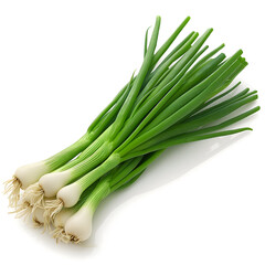 Fresh Spring Onions Isolated on White Background