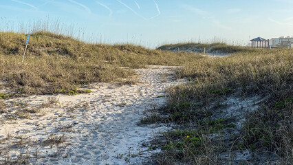 Amelia Island Florida beach dunes