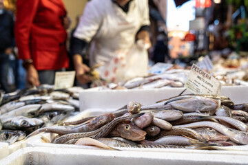 Modern and sustainable fish market with tub gurnard (Chelidonichthys lucerna), also known as the...