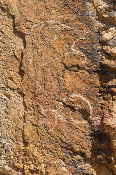 Discover ancient rock art in the Petroglyphs steppe region. Learn about the history and culture of the people who created these petroglyphs. Explore the beautiful landscapes where these petroglyphs