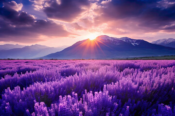 A field of lavender in full bloom, stretching towards distant purple-hued mountains