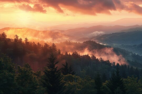 Sun Setting Over Mountains and Trees