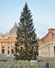 Obraz premium Basilica San Pietro Vaticano Roma