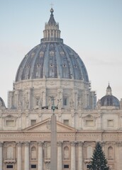 Basilica San Pietro Vaticano Roma