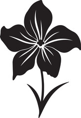 Daffodil Flower Silhouette Vector Illustration White Background