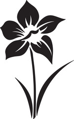Daffodil Flower Silhouette Vector Illustration White Background