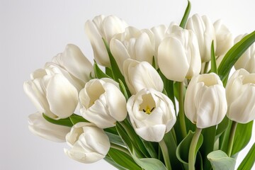 Beautiful bouquet of white tulips on a serene white background, Generative AI