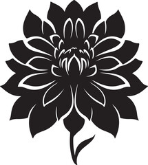 Dahlia Flower Silhouette Vector Illustration White Background