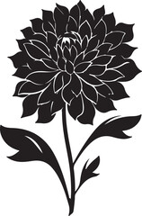 Dahlia Flower Silhouette Vector Illustration White Background