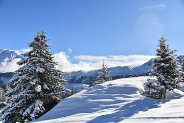 Winter scenery with snowy trees in French alps 