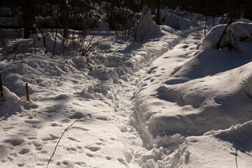 Footpath in the snow. Snowy path in the forest. Winter day in the wilderness.
