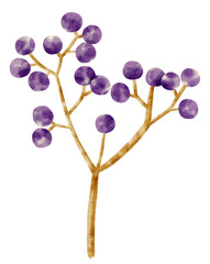 Branch of blueberries watercolor style Decorative Element