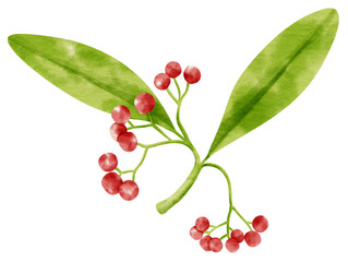 Branch of Red berries watercolor style Decorative Element