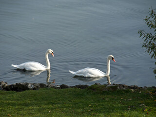 Schwerin in Mecklenburg