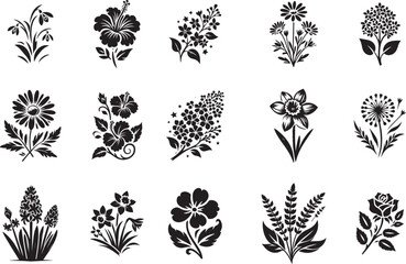 collection of various flowers, hibiscus, orchid, daisy, dandelion, heather, rose, crocus, black vector graphic