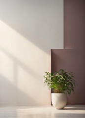 Minimalist Studio Haven: Clean White Wall with Plant for Interior Background