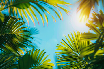 Fototapeta na wymiar Lush green palm leaves under a vivid sky, with a brilliant sunlight flare piercing through