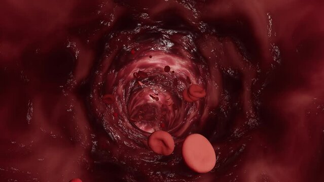 red blood cells flowing in an artery or vein - 3D animation