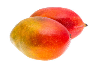 mango isolated