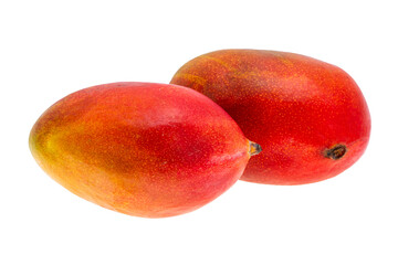 mango isolated