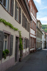 Fototapeta na wymiar Heidelberg old town, Germany. Traditional building. Window, sill, plant, wooden shutter. Vertical