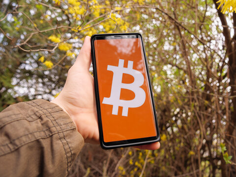 Bitcoin symbol displayed on a smartphone screen. Bitcoin, a crypto coin abbreviated as BTC, symbolizes the world of cryptocurrency. Green, brown wooded and yellow flowered nature in the background.