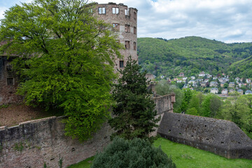 East side of Heidelberg Castle, Baden-Wurttemberg Germany famous ruins. Landmark, nature, city.