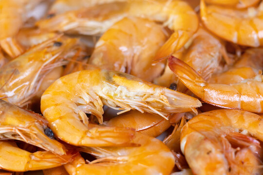 Tasty Shrimps on the plate. Fresh prawns, healthy seafood, close up photo.