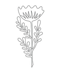Beautiful flower painted in the style of a single line. Vector botanical illustration with a continuous line for posters, postcards, logos, flyers