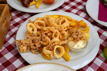 fried calamari squid fresh catch in Croatia Rovinj with garlic sauce and fries fast seafood