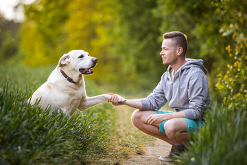 Happy man with dog in nature on sunny summer day. Cute yellow labrador retriever giving paw to his pet owner.. - 756656647