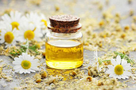 Chamomile essential oil on black texture background with fresh flowers nearby, copy space, natural medicine, organic remedy for sleep, skin care, stress and depression therapy