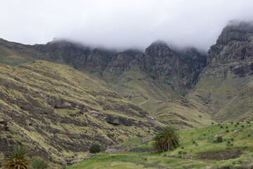 Naklejka premium landscape with clouds