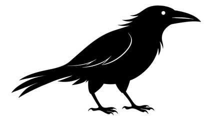 caw sillenite on white background