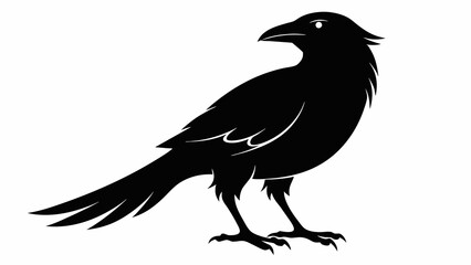 caw sillenite on white background