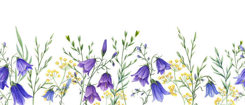 Floral seamless horizontal border with campanula, wild meadow plants. Blue, yellow flowers. Watercolor ornate with delicate hare bells. Panoramic illustration with summer herbs for fabric, textile