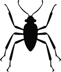 assassinbug silhouette