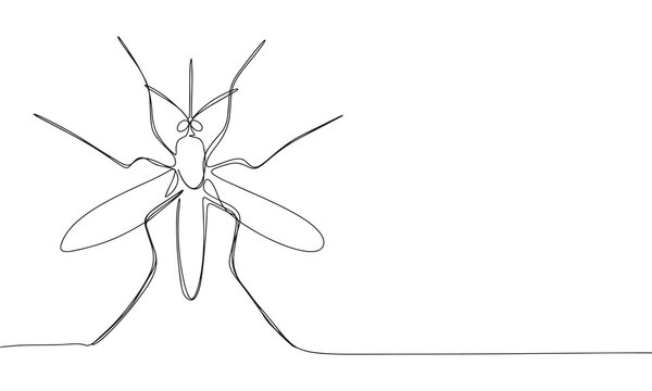 recommend clip art: Mosquito one line continuous. Line art Mosquito isolated on transparent background. Hand drawn vector art.