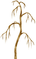 Leafless dead tree dry tree watercolor illustration for Decorative Element