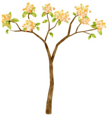 Autumn Tree with Yellow flowers watercolor illustration for Decorative Element