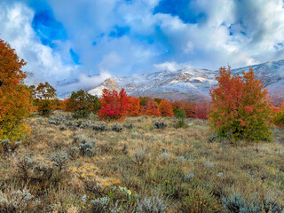 Fall mountains and snow