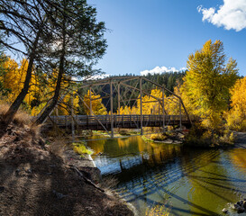 Golden Trees and small Bridge