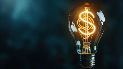 Fotobehang light bulb with the light shape of a dollar symbol shining inside the light bulb, idea and money concept © Beny