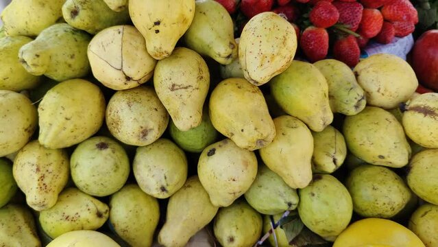 Yellow guava fruit close up view in pakistani shop.
Close Up of Fresh Guava Fruit on Supermarket row. Guava Stack in Market in Pakistan. Beautiful 4K Footage.